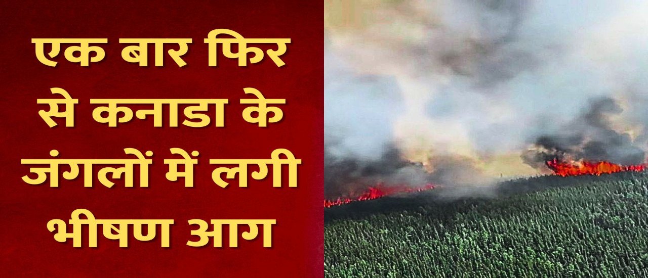Desh Videsh News: एक बार फिर से कनाडा के जंगलों में लगी भीषण आग, बढ़ते तापमान के कारण 117 जंगल प्रभावित